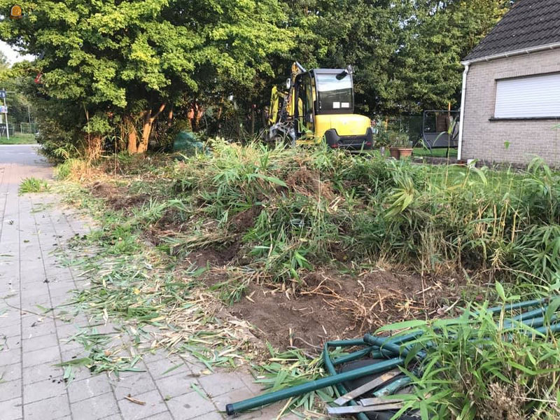 Referentie: Heraanleg tuin te Schoten