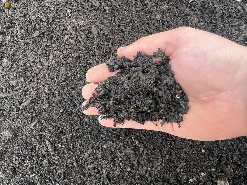 GFT compost