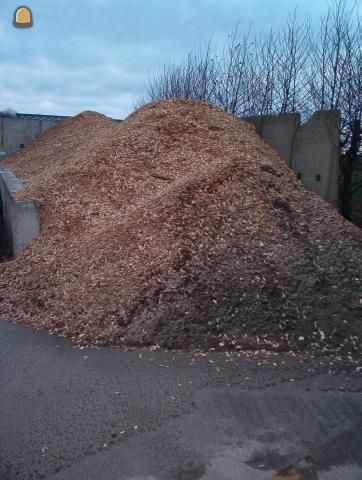 Gedroogde dennenaald houtchips